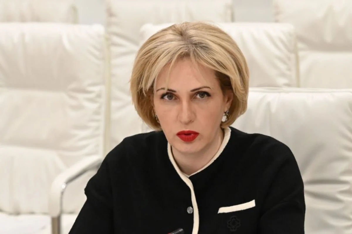 Eka Sepashvili: Ilham Aliyev's remarks are a fitting response to European Parliament policy