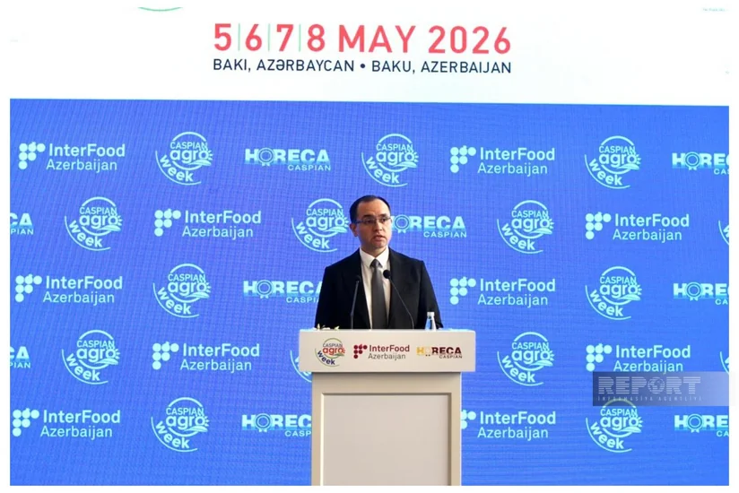 Majnun Mammadov: New exhibition format to expand int'l experience sharing