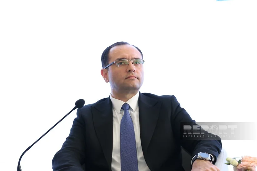 Məcnun Məmmədov: Azad edilmiş ərazilərdə investisiya layihələri üçün minimum 20 hektar torpaq sahəsi tələb olunur