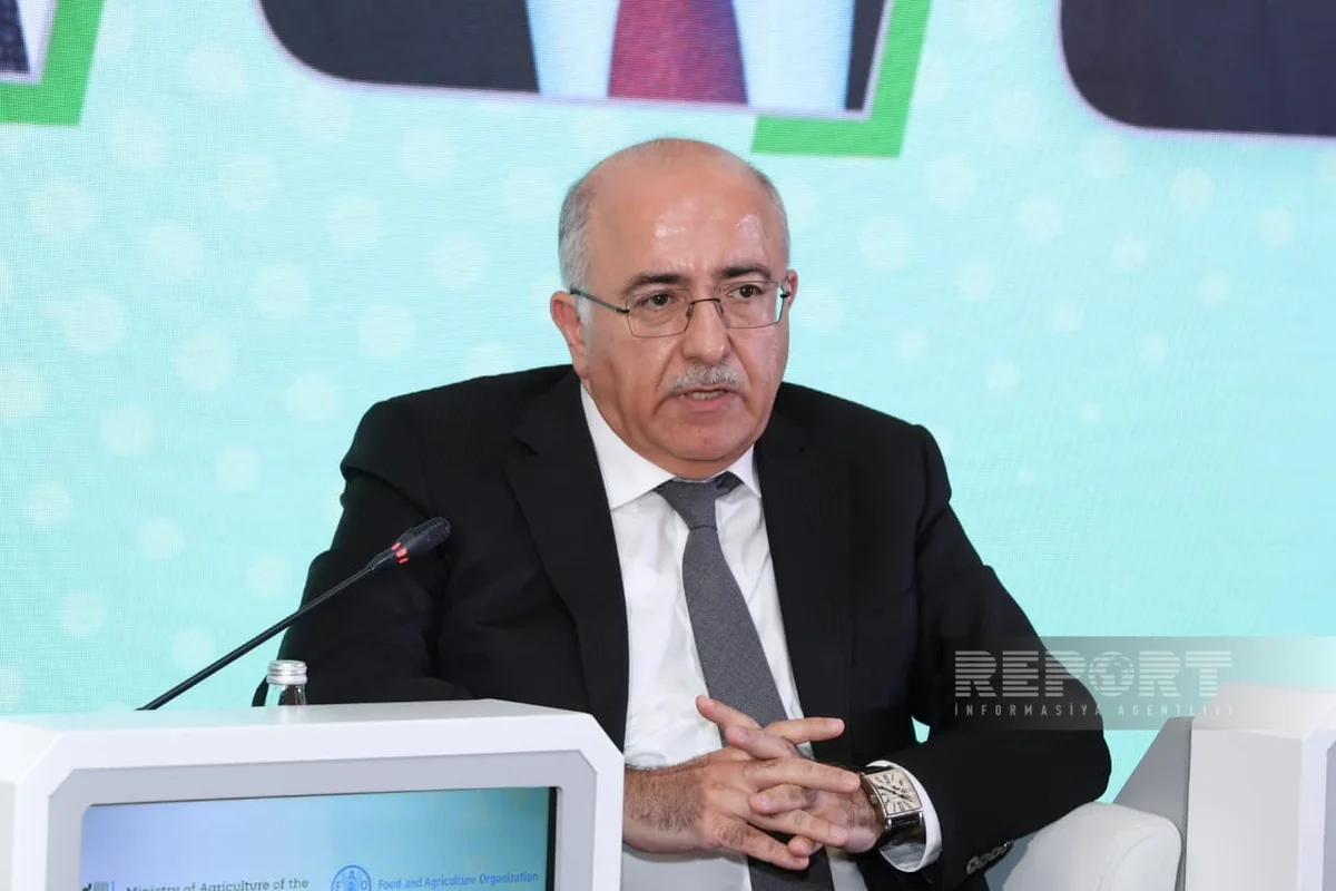 Azər Bayramov: Kənd təsərrüfatında əsas prioritet emal prosesidir