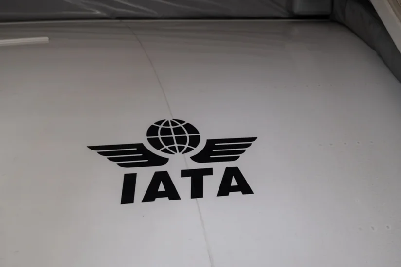 ITA Airways: Авиабилеты могут подорожать на 5-10% из-за ситуации на Ближнем Востоке