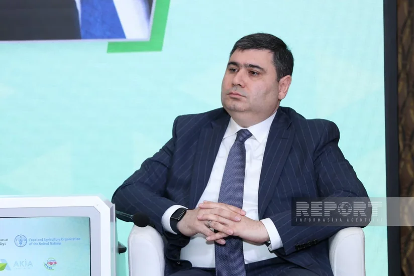 Toğrul Əliyev: Azərbaycanda bankların kənd təsərrüfatına ayırdığı kreditlər 14,5 % artıb