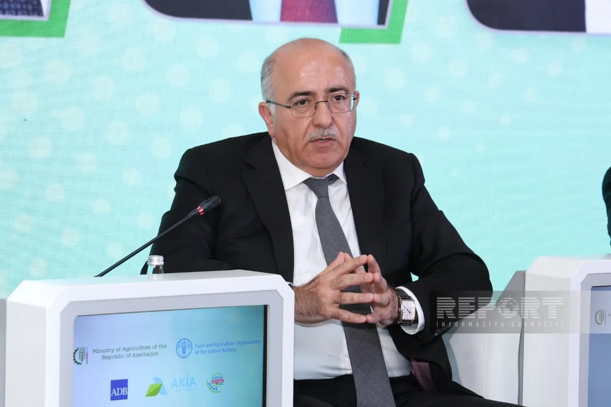 Nazir müavini: Aqroparklar ixracın uzunmüddətli dəyər zəncirini yaratma potensialını artırır