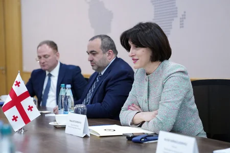 Гамильтон и Бочоришвили обсудили развитие сотрудничества между НАТО и Грузией