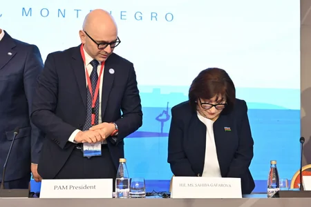 Milli Majlis granted observer status at Parliamentary Assembly of the Mediterranean