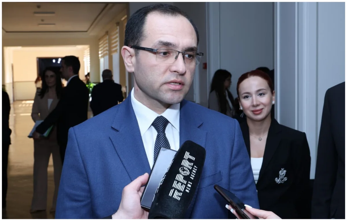 Nazir: "Qarabağda 14 min hektara yaxın kənd təsərrüfatı torpağı investorlara verilib" – EKSKLÜZİV
