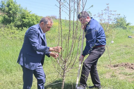Xocalıda ağacəkmə aksiyası keçirilib