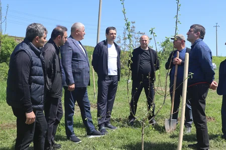 Xocalıda ağacəkmə aksiyası keçirilib
