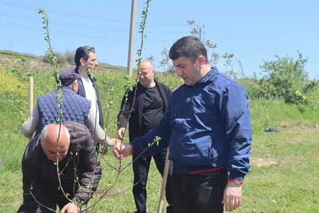 Xocalıda ağacəkmə aksiyası keçirilib