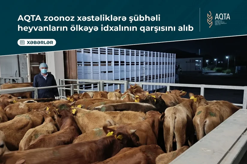 Zoonoz xəstəlik şübhəsi olan heyvanların Azərbaycana idxalının qarşısı alınıb