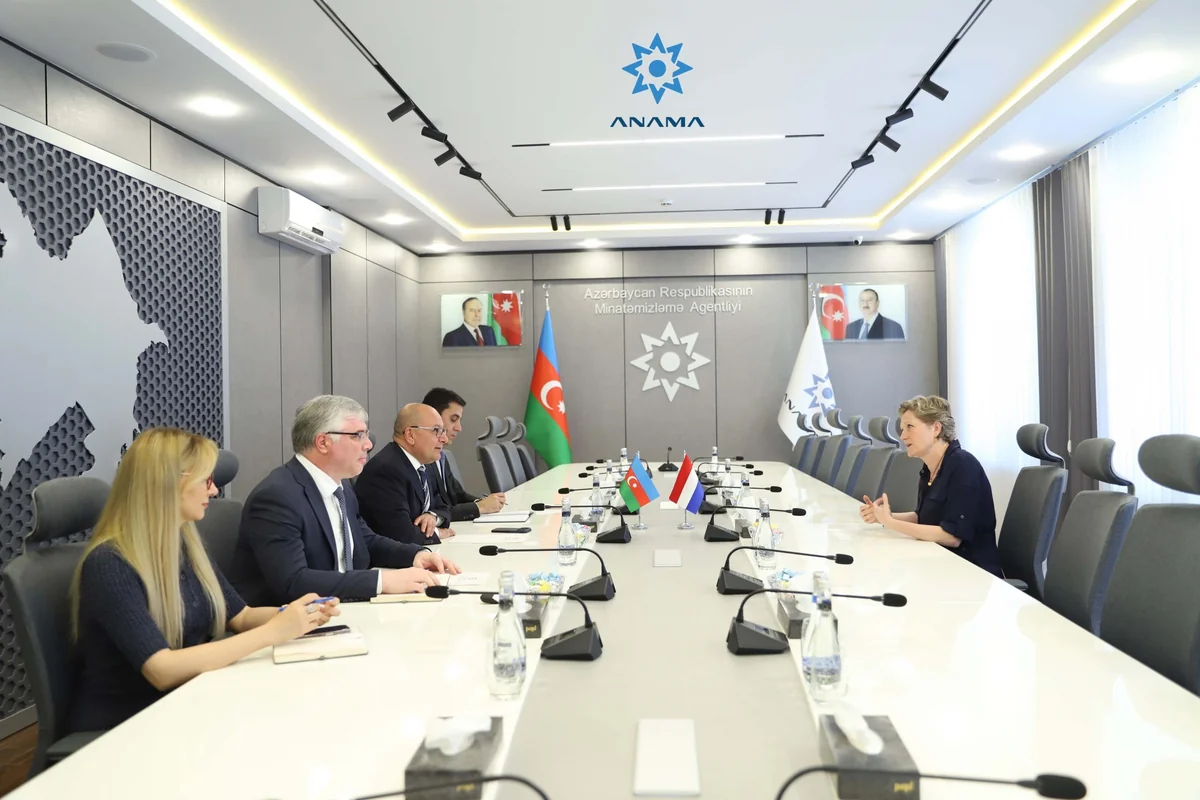 Azerbaijan, Netherlands discuss cooperation in combating mine threat