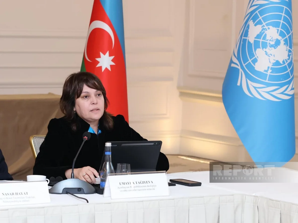 Umayra Tağıyeva əhalini ekoloji aksiyalarda iştiraka çağırıb