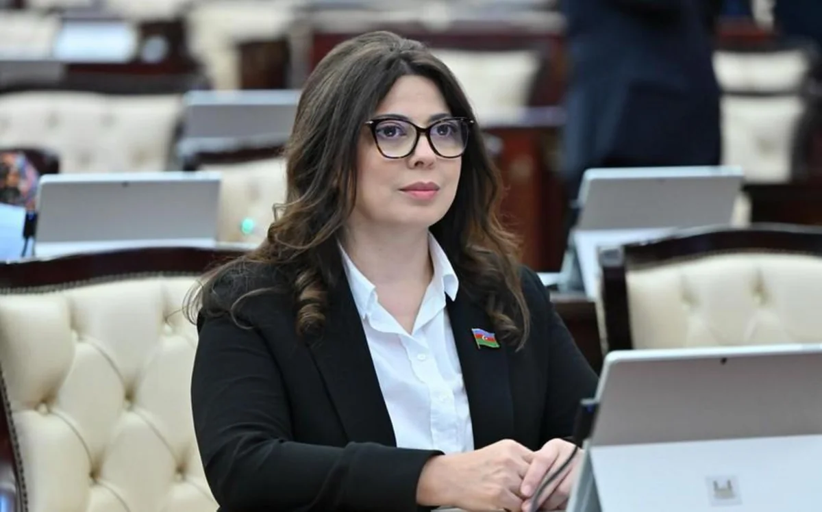 Deputat TikToka nəzarətin gücləndirilməsini təklif edib