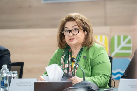 Baku hosts roundtable on mining and urban planning