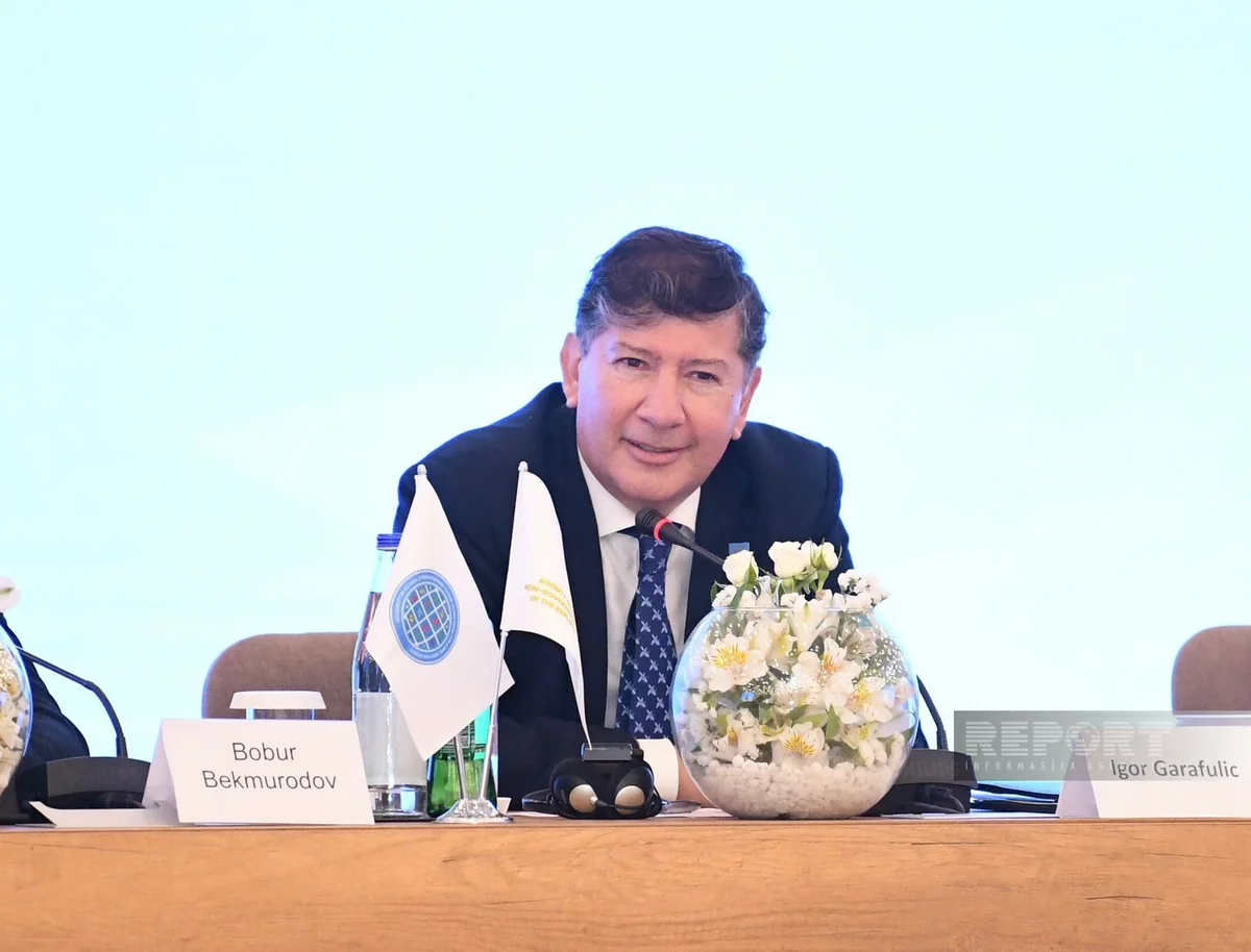 Garafulic: Azerbaijan providing platform for international discussions