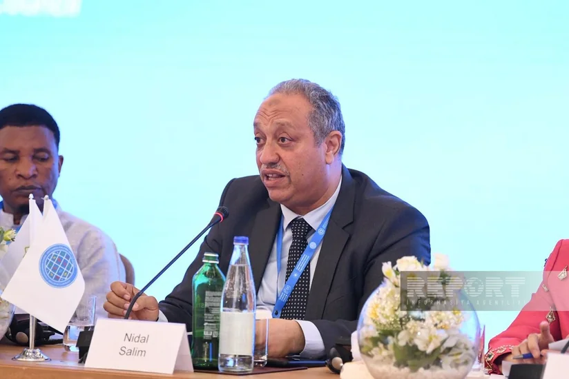 Nidal Səlim: Qlobal Cənub dünya urbanizasiyasının mərkəzinə çevrilir
