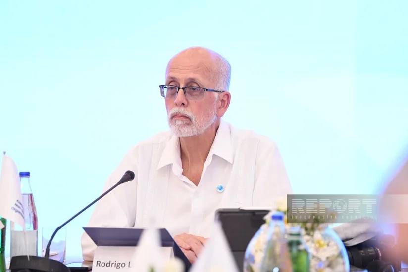 Rodriqo Labardini: Qlobal Cənub iqtisadi bərabərsizliyi aradan qaldırmalıdır