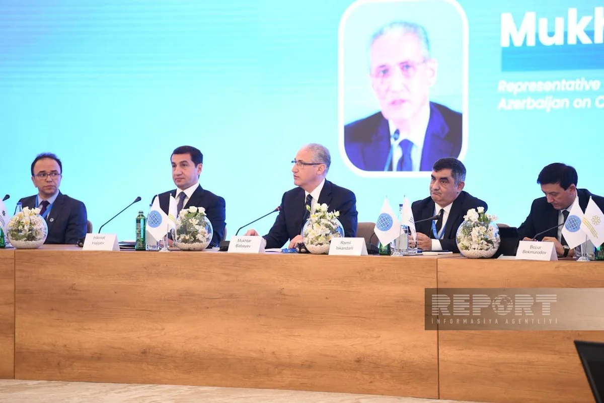 Mukhtar Babayev: Developed countries cutting climate funding for second year in row