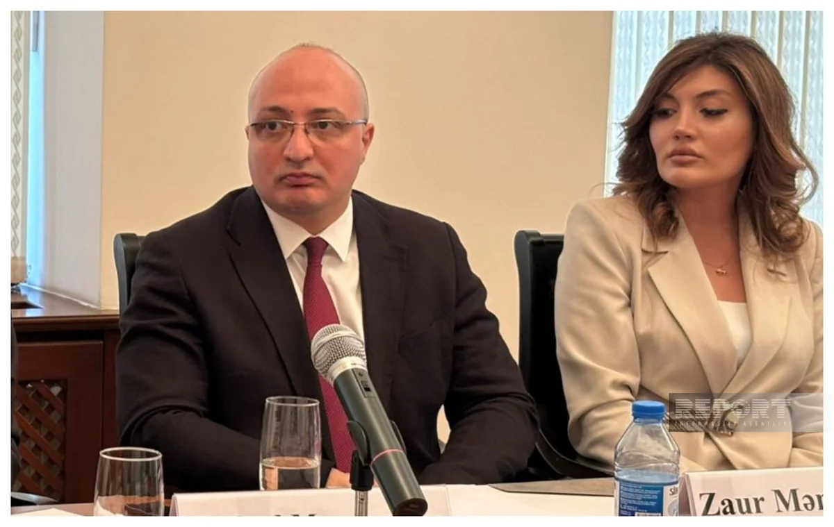 Zaur Məmmədov: Azərbaycan Gürcüstan və Ermənistandan fərqli olaraq siyasi cəhətdən qütbləşməyib