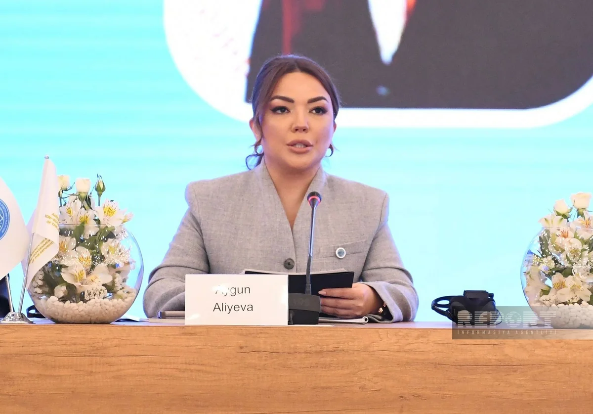 Aygun Aliyeva: Global South should take part in shaping global agenda