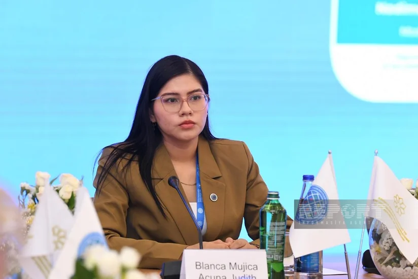 Blanka Cudit: Məlumatlı cəmiyyət olmadan dayanıqlı şəhər modeli mümkün deyil