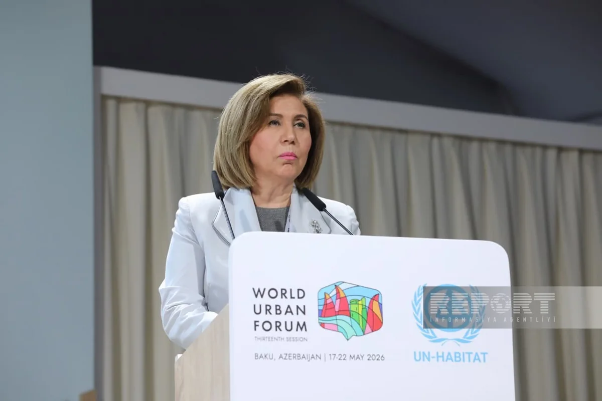Bahar Muradova: Modern urban planning applied in liberated areas