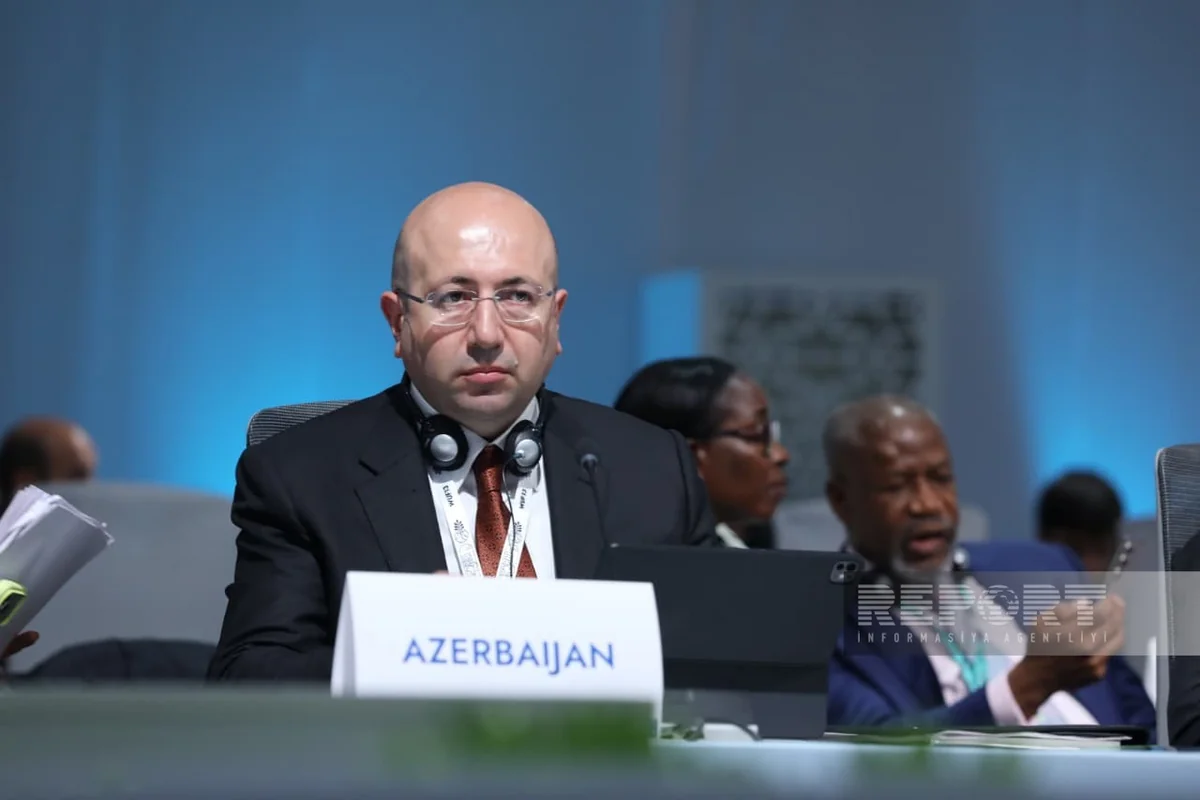 Anar Quliyev: Bərpa olunan enerjinin payı 38 %-ə çatdırılacaq
