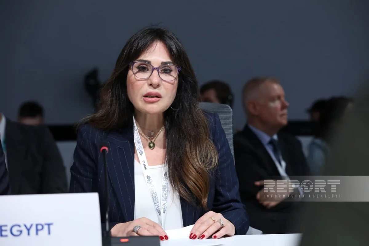 Randa Al-Menshawy: Egypt at WUF13 called for accessible partnerships in urban development