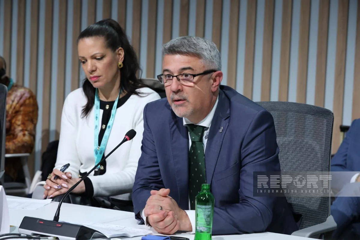 Hungarian envoy: Billions worldwide still lack access to housing