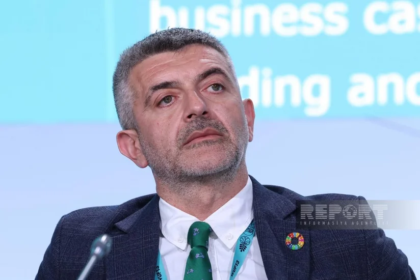 UN expert: Awareness crucial to create demand for eco‑friendly housing