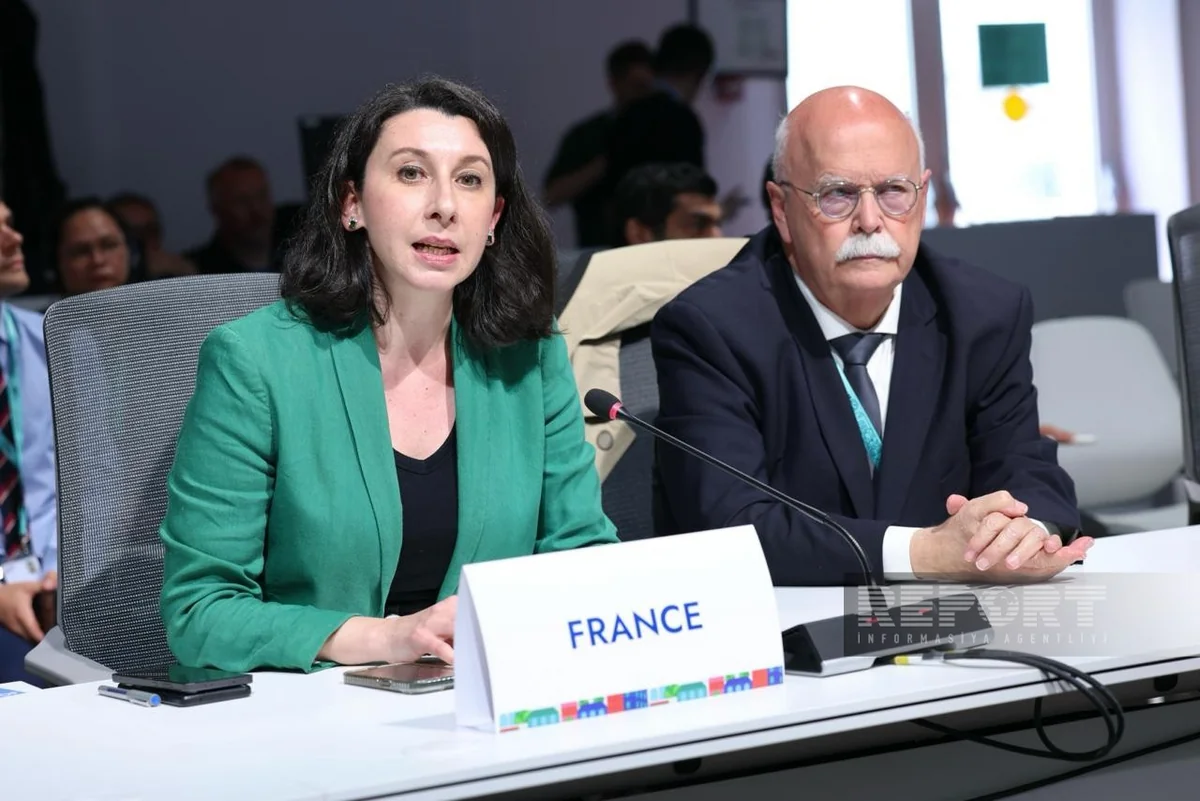 Lagoutte: France allocated €3.1B to sustainable development projects, including urban development