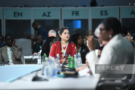 WUF13-ün birinci günü başa çatıb
