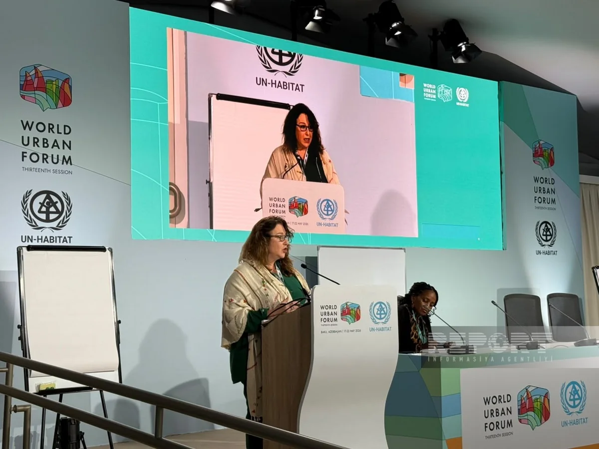 UN-Habitat: More than 2 billion people face housing insecurity