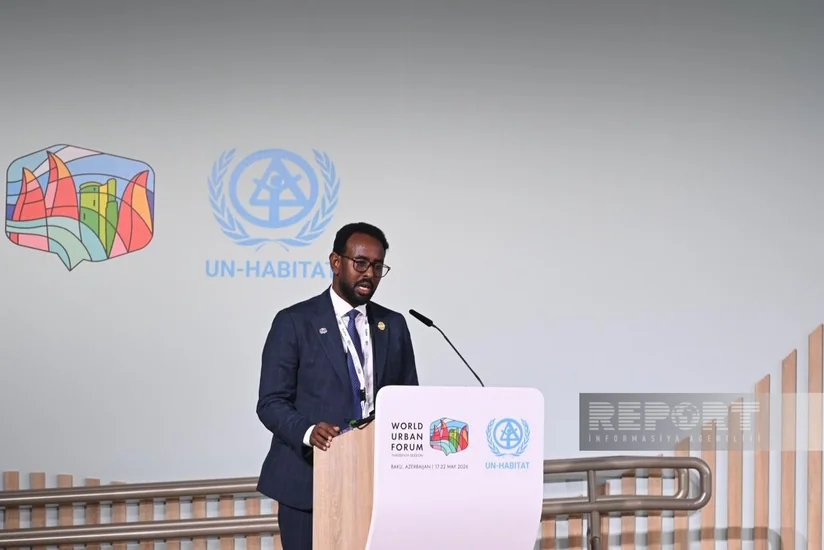 Somali rəsmisi: Azərbaycan dayanıqlı şəhər inkişafında nümunədir