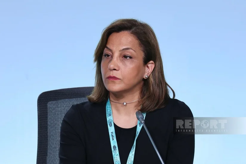 Smart Sylvan: Yaşıl infrastruktur mənzilin dəyər zəncirinin qalan hissəsi ilə eyni ölçüdə olmalıdır