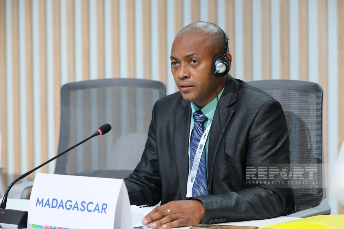 Ruffin Sambani: WUF13 key step for New Urban Agenda