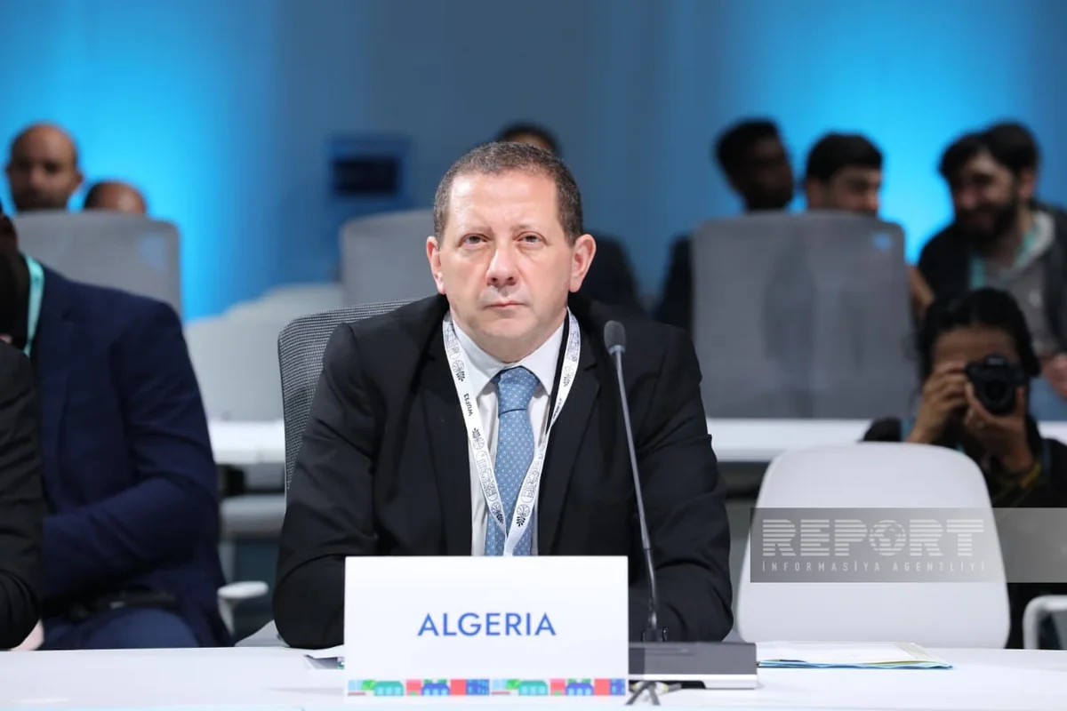 Dahmane: WUF13 is key platform to present Africa's urbanization priorities