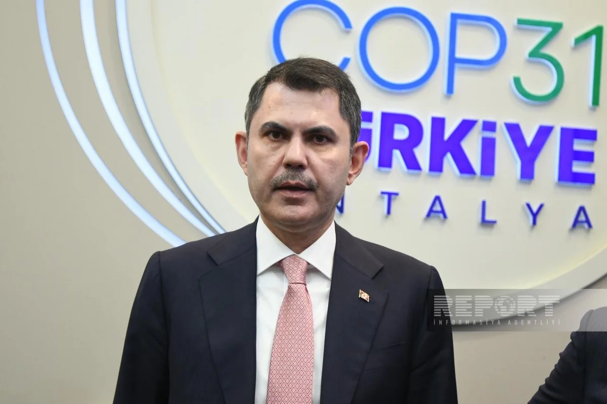 Minister: Türkiye to benefit from Azerbaijan's experience at COP31