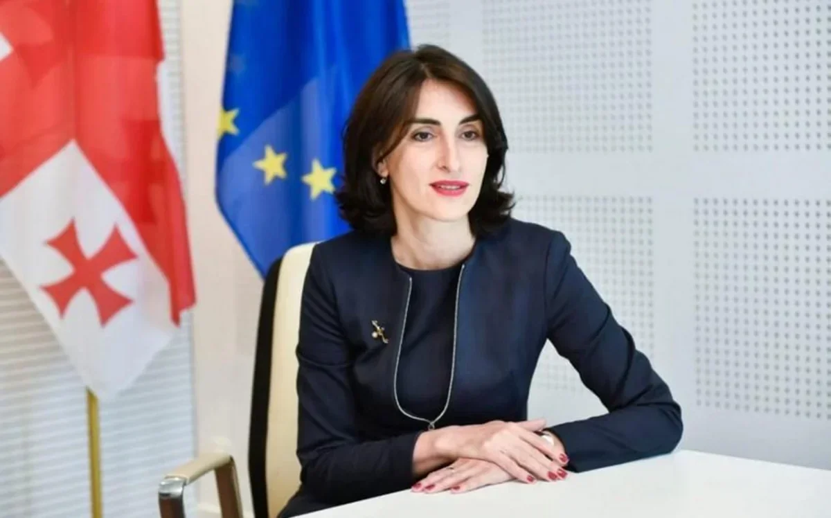 Georgian FM: Cooperation with Azerbaijan on Middle Corridor has special strategic importance