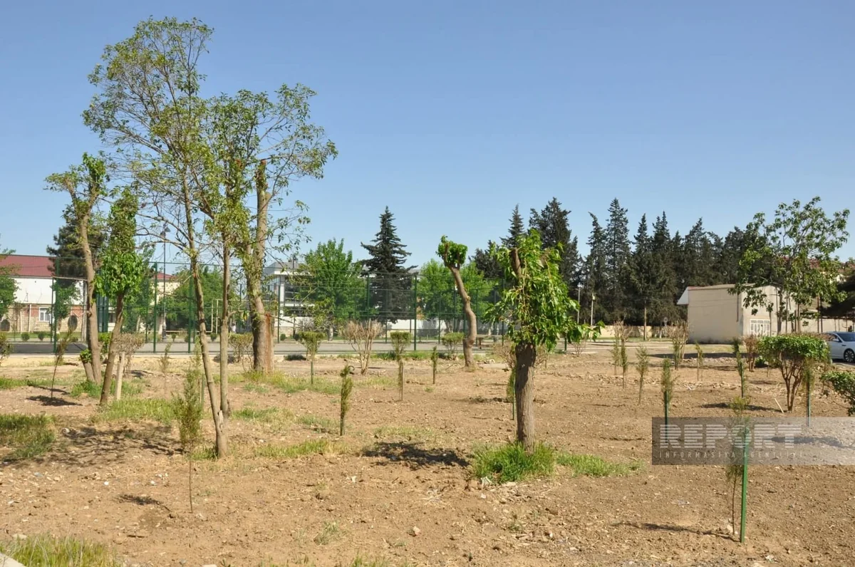 Biləsuvarda yeni park salınıb