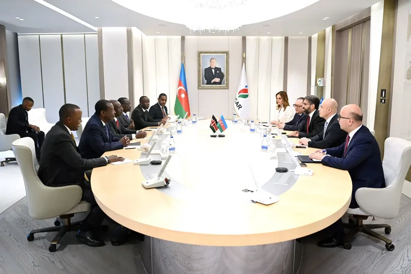 Azerbaijan, Kenya discuss energy cooperation opportunities