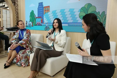 ASAN model in urbanization discussed at WUF13