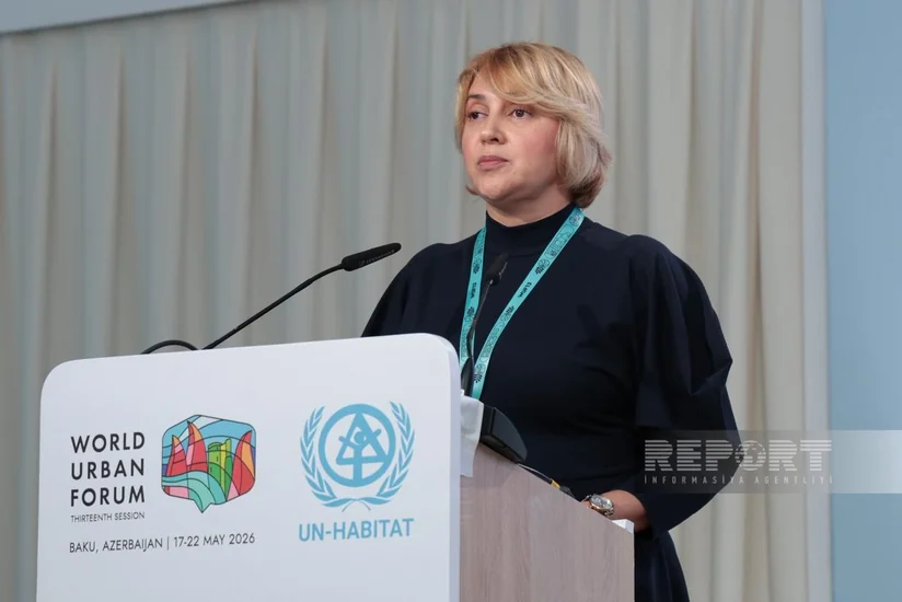 Elnara Ansari: Social protection of persons with disabilities is key direction of social policy in Azerbaijan