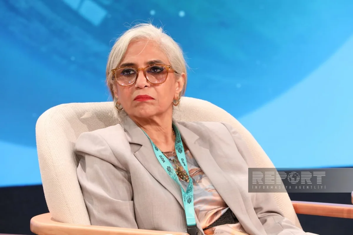 Nihal Al-Megatbel says housing issues in Arab region pose structural risks