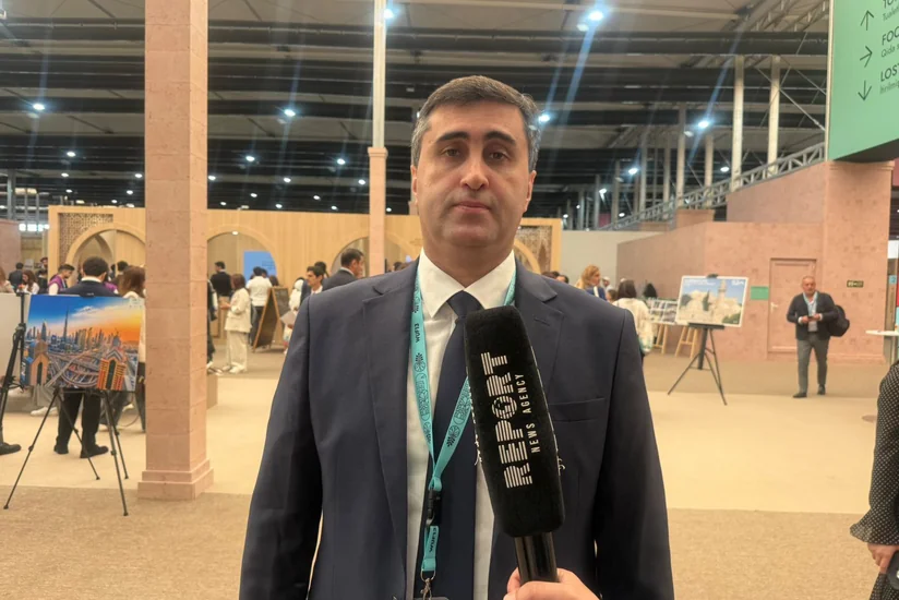 BTQ-nin icraçı direktoru: Bu gün neokolonializm ciddi problemlər yaradır