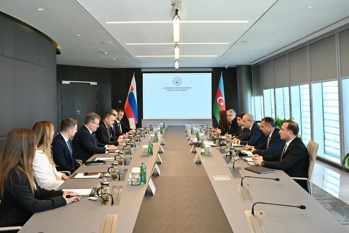 Azerbaijan and Slovakia discuss strengthening business ties
