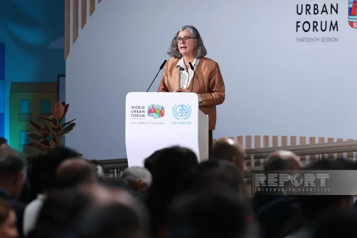 Anacláudia Rossbach: Adequate housing must also address climate risks