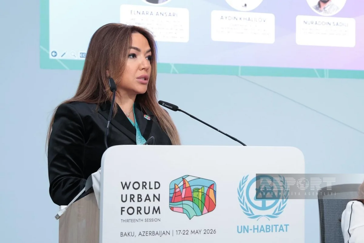 Aygun Aliyeva: Inclusive cities go beyond physical infrastructure