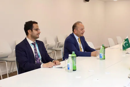 Azerbaijan, Pakistan discuss cooperation in energy sector within WUF13