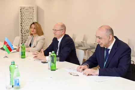 Azerbaijan, Pakistan discuss cooperation in energy sector within WUF13
